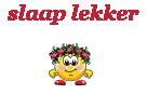slaap%2Blekker%283%29.gif