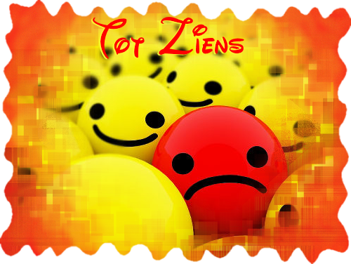 totziensPlus.png